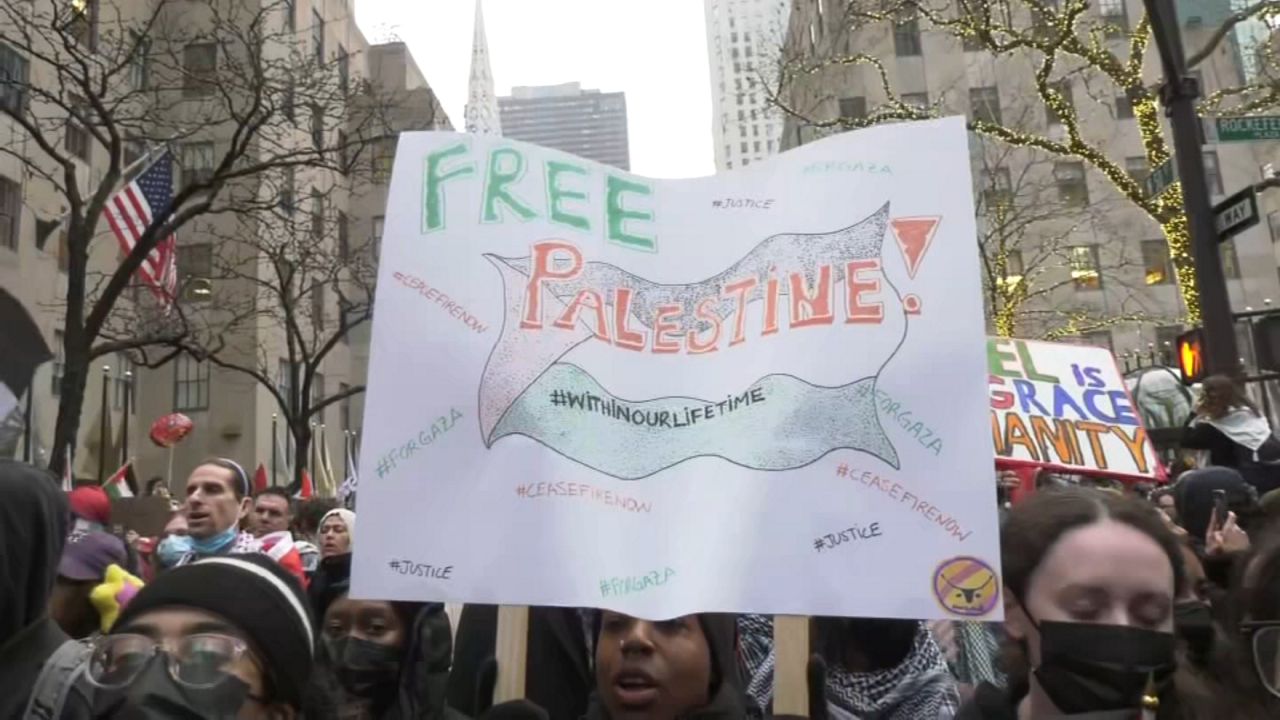 圣诞节当天，亲巴勒斯坦支持者在纽约举行示威活动
